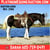 Annuncio cavallo