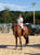 Horse ad