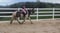 Annuncio cavallo