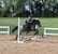 Horse ad