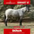Horse ad