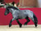 Horse ad
