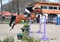 Horse ad