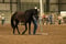 Horse ad