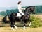 Annuncio cavallo