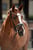 Annuncio cavallo