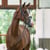 Annuncio cavallo