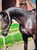 Annuncio cavallo