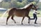 Horse ad