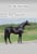 Horse ad