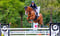 Horse ad