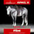 Horse ad