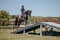 Horse ad