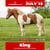 Anuncio de caballos