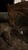 Horse ad