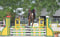 Annuncio cavallo
