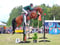 Horse ad