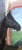 Horse ad