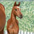 Horse ad