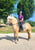 Horse ad