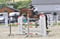 Annuncio cavallo