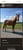 Horse ad
