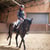 Annuncio cavallo