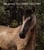Horse ad