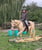 Annuncio cavallo