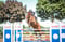 Horse ad