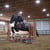 Horse ad