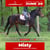 Annuncio cavallo