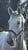 Horse ad