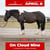 Anuncio de caballos