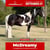 Annonce cheval