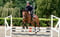 Horse ad