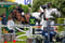 Annonce cheval