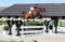 Annonce cheval
