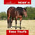 Paardadvertentie