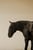 Horse ad