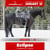 Horse ad