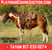 Horse ad