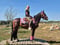 Anuncio de caballos