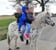 Horse ad