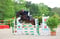 Horse ad