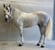 Annuncio cavallo