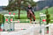 Horse ad