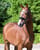 Annuncio cavallo