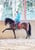 Horse ad