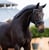 Horse ad